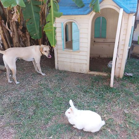 Cazhibiscus Bed & Breakfast Trou aux Biches Luaran gambar